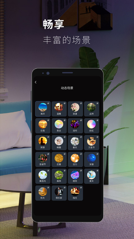 思码光官方版(Colorpanda)