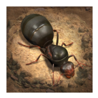 小小蚁国国际服最新版(The Ants) 3.87.0手机版