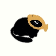 村庄叮叮猫