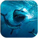Megalodon Simulator安装器