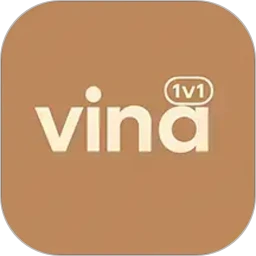 Vina1对1