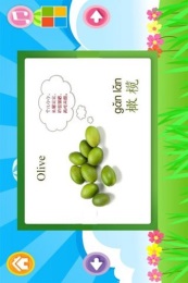 儿童学水果卡片