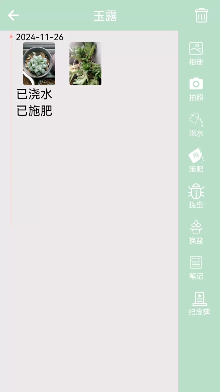 多肉花草成长日记