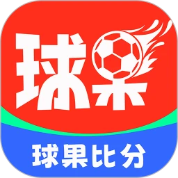 球果比分