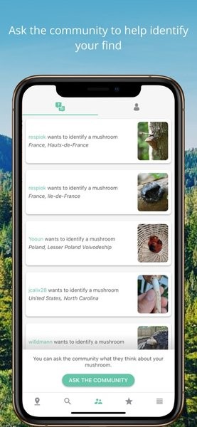 mushroom identification蘑菇鉴定软件
