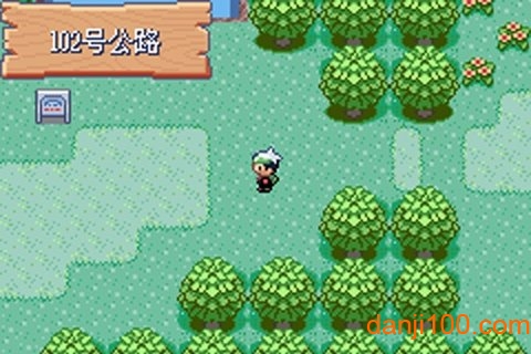 悟饭-口袋妖怪 绿宝石386 新汉化版