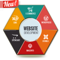 网页开发手机版