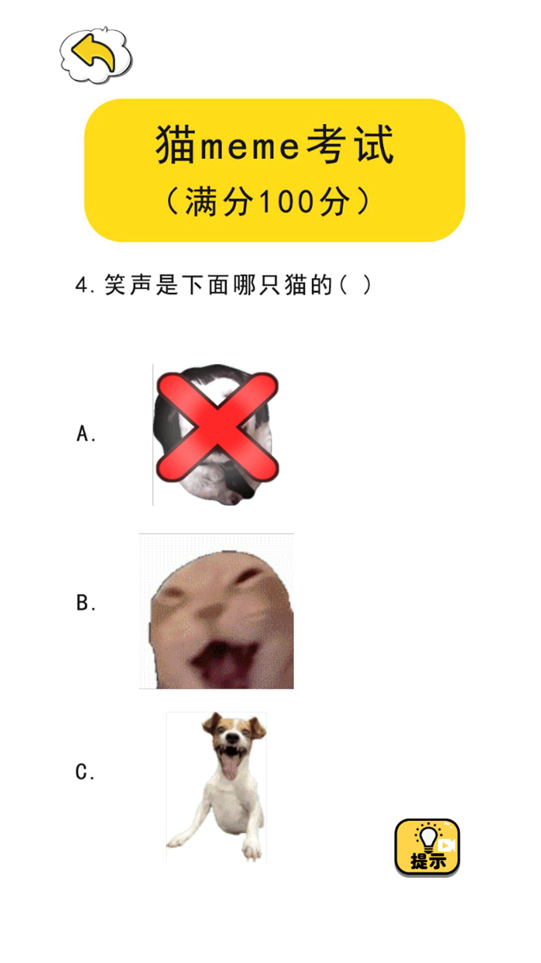 猫meme热梗