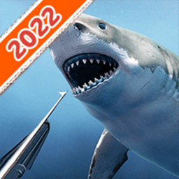 公主的迷你鱼宠物