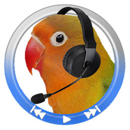 audio looper经典复读机