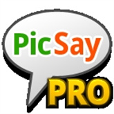 PicSayFull 专业版