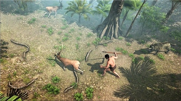 Ocean Survivor Ocean Survivor