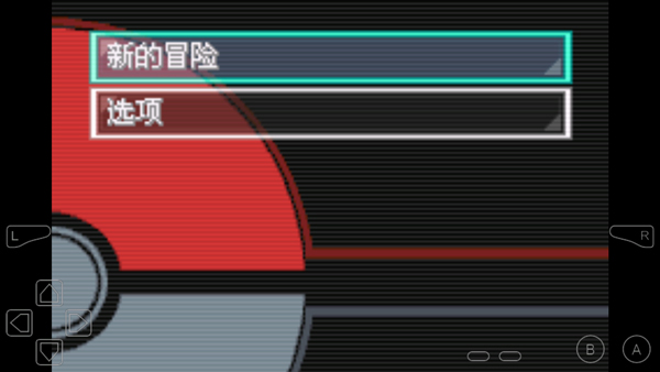 口袋妖怪 不归之殇·暗