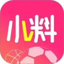 小料
