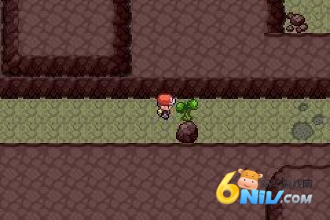 口袋妖怪心金中文版