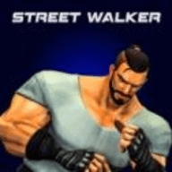 街头格斗者游戏