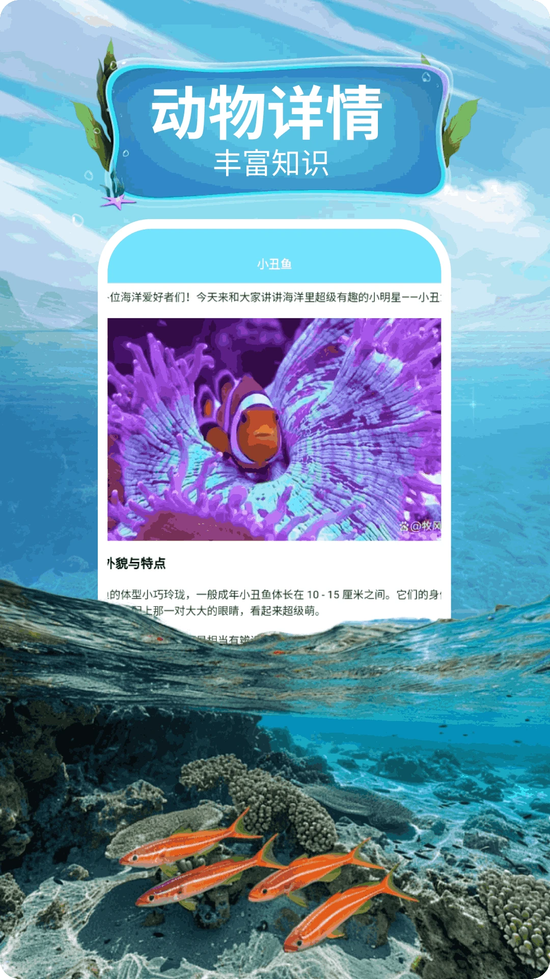 蓝色水世界 蓝色水世界