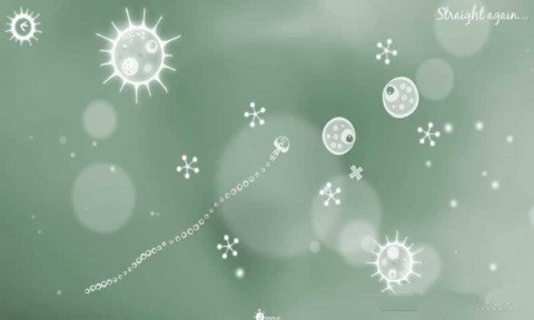 果冻饲料汉化中文版