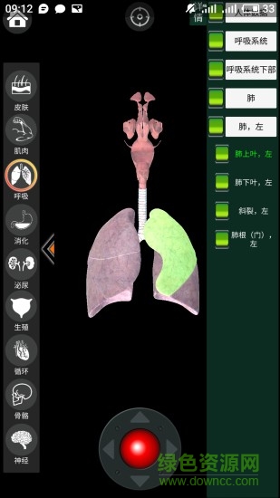 虚拟现实人体解剖