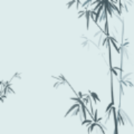 竹编影视app苹果版