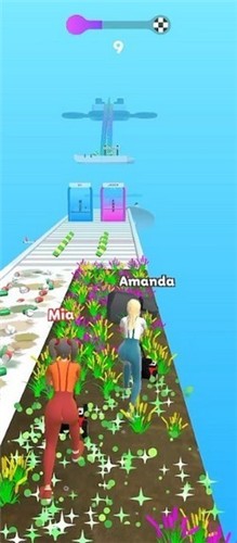 Beauty Race! Beauty Race!