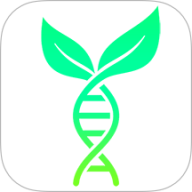 测血氧检测健康记录