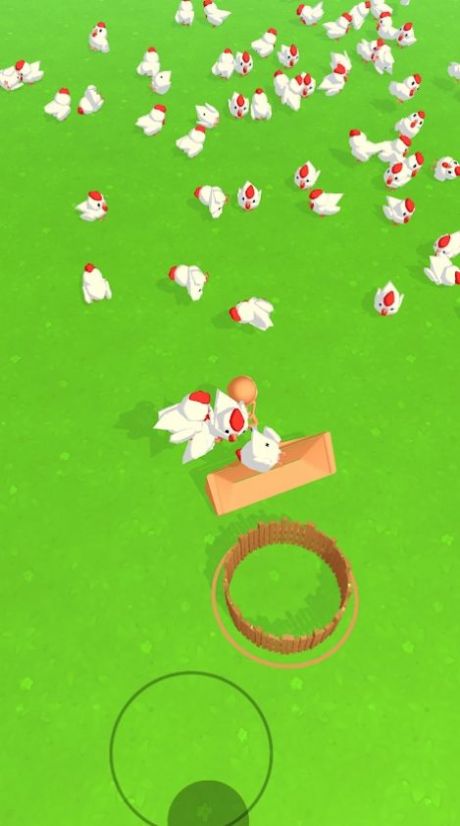 追寻小鸡Chicken Chaser