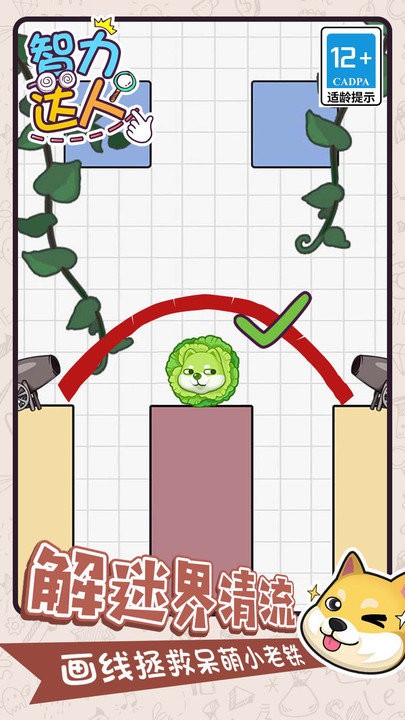 智力达人 智力达人