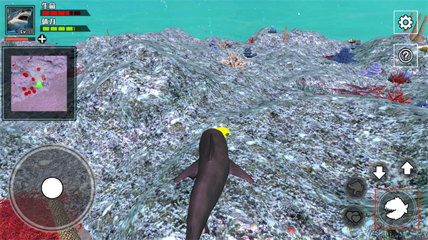 饥饿鲨鱼求生 饥饿鲨鱼求生