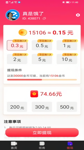 热情石竹 热情石竹