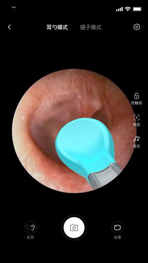 bebirdapp最新版 bebirdapp最新版