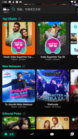 BlackHole黑洞音乐播放器APP官方版