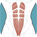 跟我练腹肌(腹肌训练软件) v3.1.0 安卓版