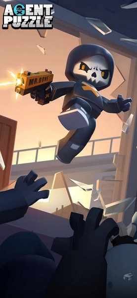 特工难题Agent Puzzle