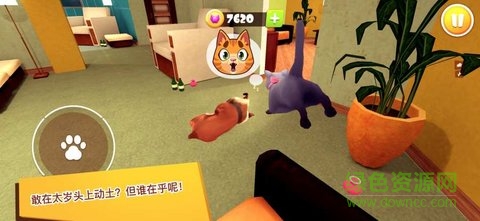 猫咪模拟器3d游戏
