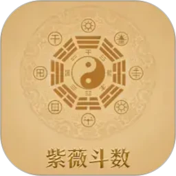 紫微斗数八字排盘
