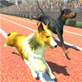 Dog Racing Game:Pet Animal run Simulator