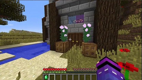 珍妮模组直装版 珍妮模组直装版