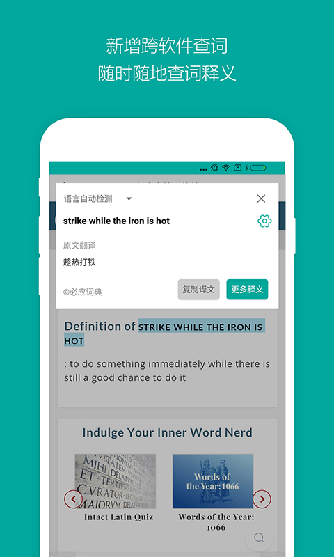 必应词典iPhone版