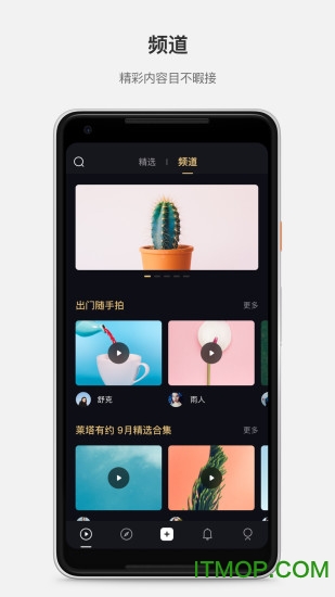 智云莱塔社(lightollector) 智云莱塔社(lightollector)