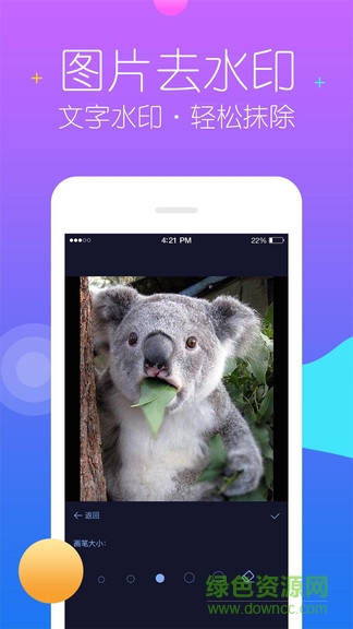 视频去水印管家
