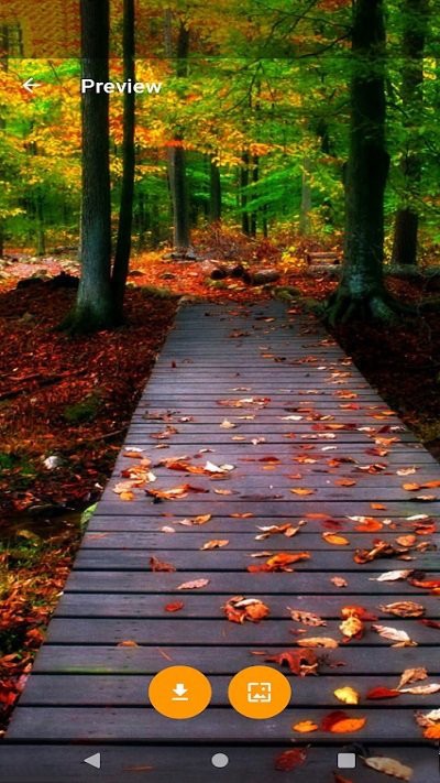 全球主题和壁纸 全球主题和壁纸