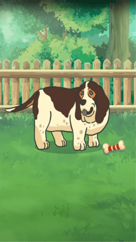 老友狗狗 老友狗狗