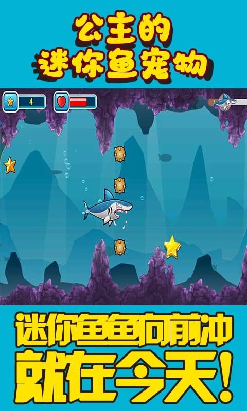 公主的迷你鱼宠物