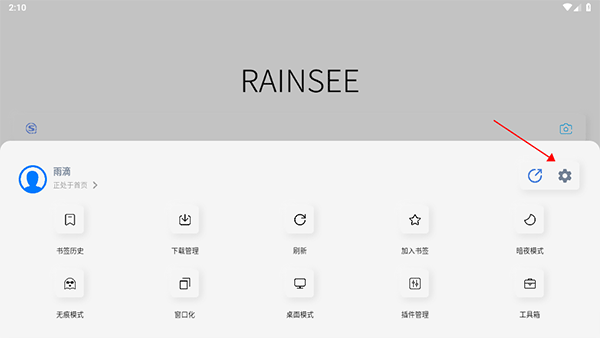 Rains浏览器5