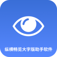 大字版助手