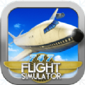 Flight Simulator: 747