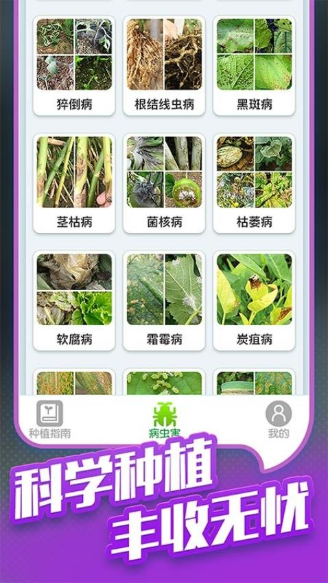 种菜专业户 种菜专业户