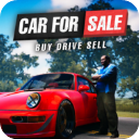 Car For Sale Simulator 2023安装器