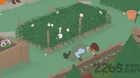 模拟大鹅 模拟大鹅